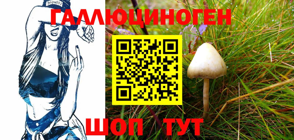 Псилоцибиновые грибы GOLDEN TEACHER Донецк